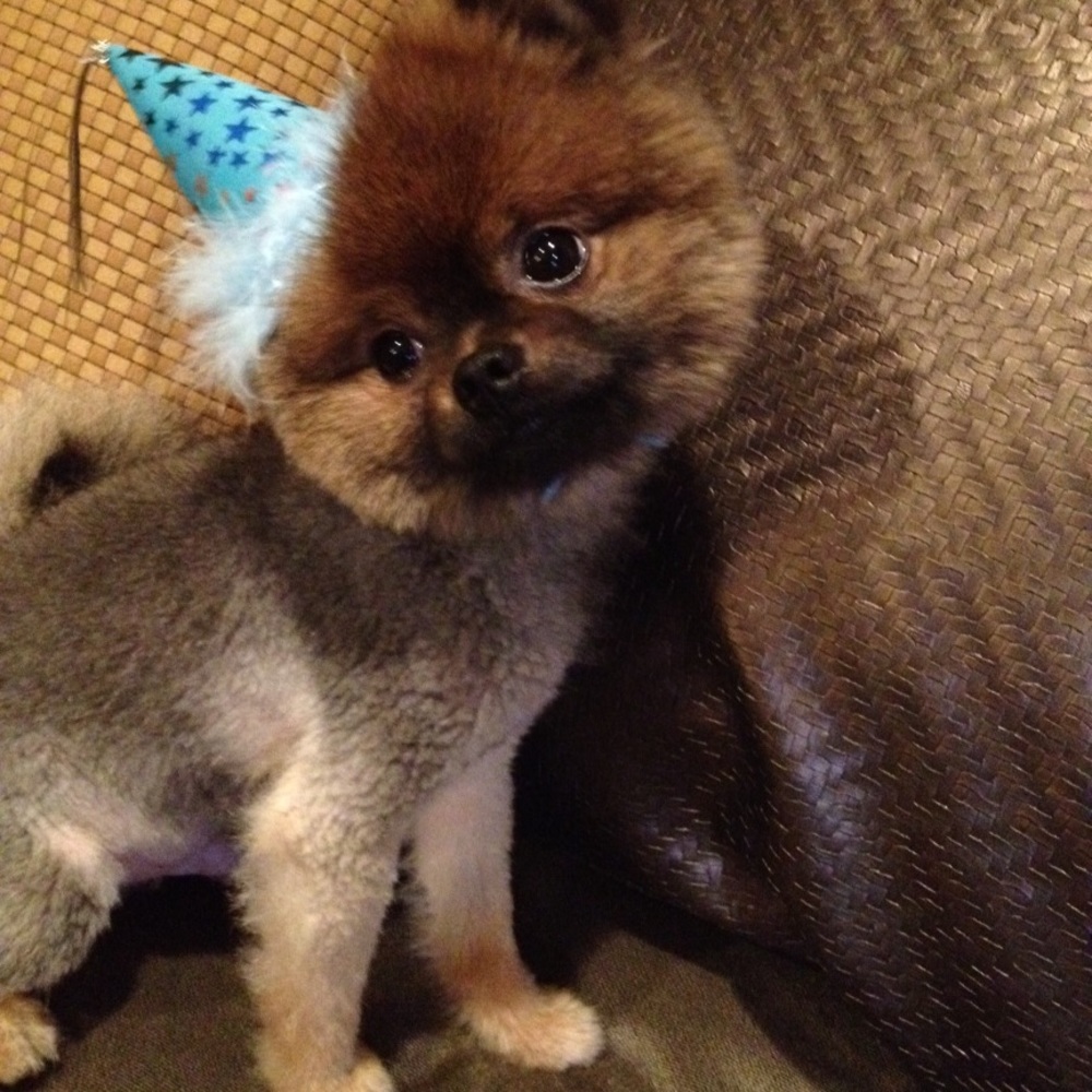 Meet your Posher, Kate